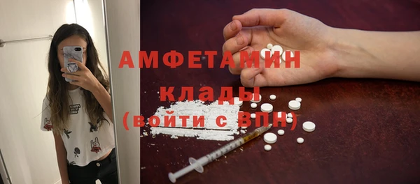 стаф Чекалин